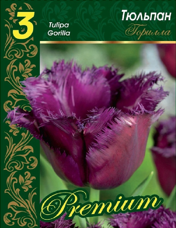 Тюльпан Горилла 1 уп. (3шт.) 